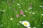 Naturschutz Naturschutz